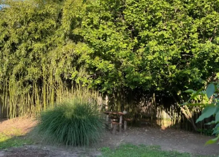 Bedi Apartmanhaz * Nagykanizsa